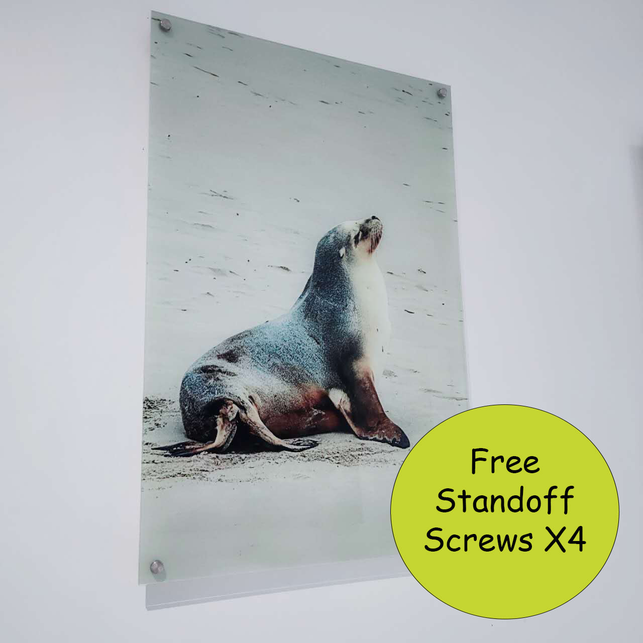 Acrylic Prints - 3mm