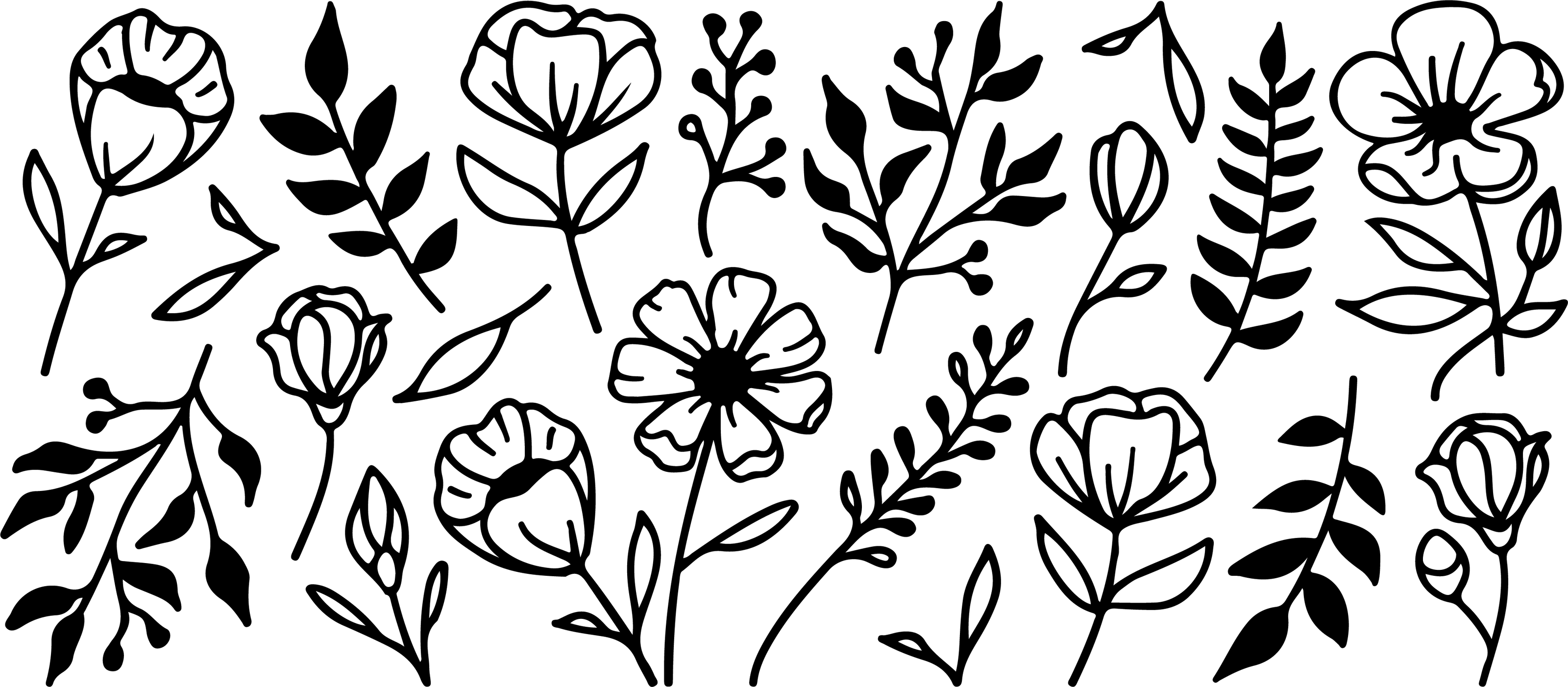 fpbw-1