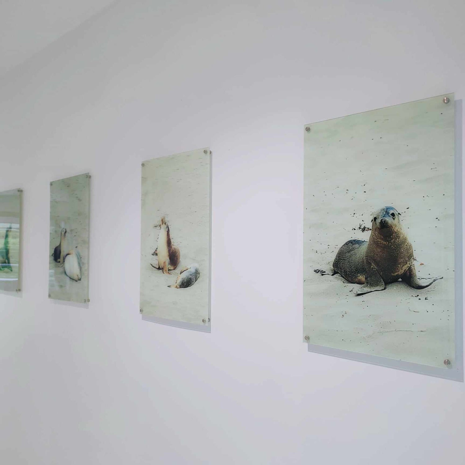 Acrylic Photo Prints